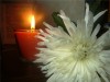 Чакровые свечи, ароматические свечи для семи чакр: муладхара, свадхистана, манипура, анахата, вишудха, аджна, сахасрара
